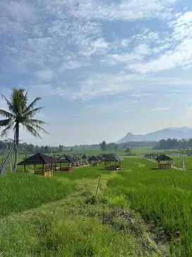 TANAH KAVLING TANJUNG SARI