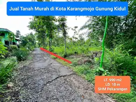 Jual cepat tanah murah di dekat pasar karangmojo Gunung Kidul shm P