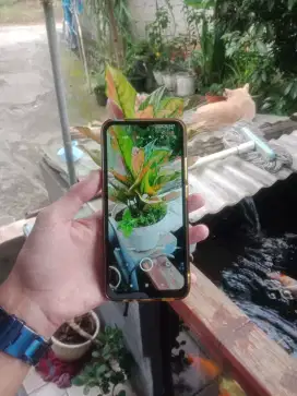 Redmi 9c 3/32GB