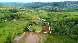 Tanah Ada Mata Air Dekat Tol Darangdan Purwakarta Dijual Murah