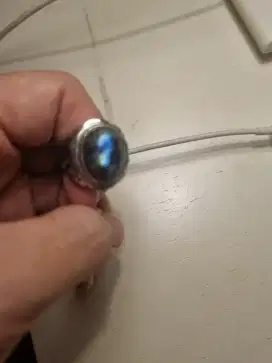 Cincin labrador monel
