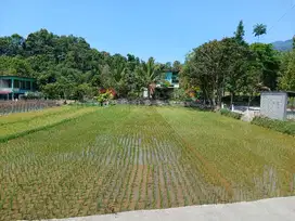 Dijual Tanah Untuk Villa View Cantik di Wanayasa Purwakarta