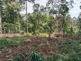 Dijual sebidang tanah kebun SHM  Lokasi dekat UNNES