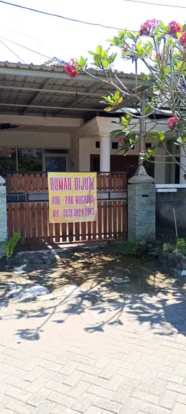 Rumah dijalan Utama Hedona Regency dijual Murah