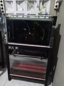 Angkut fullset 2 aquarium+ rak + lampu + aerator