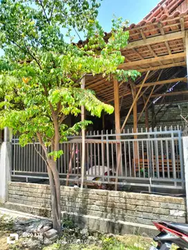 Kelurahan Jenggolo, Kecamatan Jenu Tuban