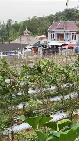 Tanah di Parakansalak, Sukabumi
