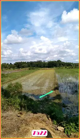 Kalasan Tanah SHM di Tamanmartani Luas