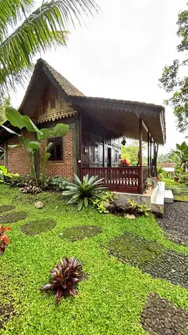 DI JUAL VILLA ASRI LOKASI SEJUK PESUCEN BANYUWANGI