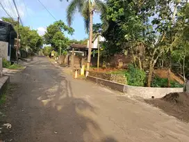 Tanah Istimewa d Kalisegoro Sekitar Unnes