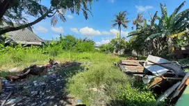 DIJUAL TANAH KAVLING ROROTAN 6 JT PER METER