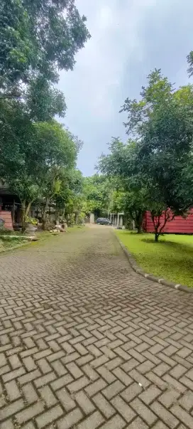 Di jual cepat tanah atau lahan di bogor