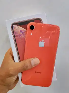 Iphone XR 64 GB Inter All Operator