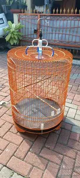 Kandang Murai no 1