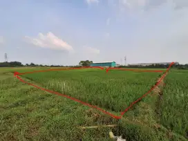 JUAL MURAH CEPAT di bawah harga pasaran tanah di Cikarang