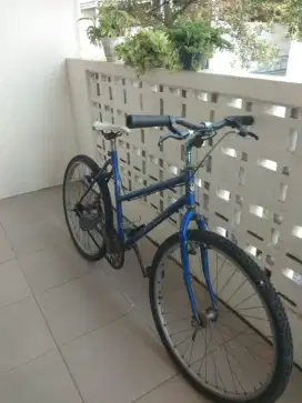 Sepeda Kashimax Bekas