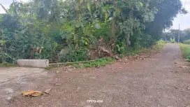 Jual tanah barat bandara solo dekat waduk lt 310m harga 1,6jt/m nego