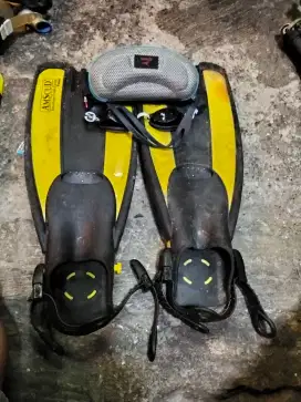 Sepatu katak dan kaca mata