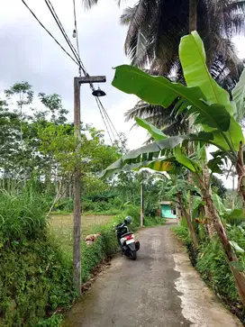 Tanah Sawah Strategis Hanya 90 meter dari Jalan Kaliurang Km 19