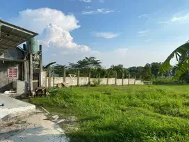 Tanah di sewakan