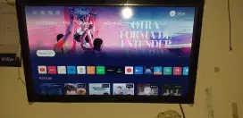 24 inc smart POLYTRON
