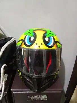 NHK gp pro tartaruga limited