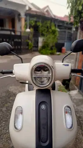 Fazzio neo keyless 2023