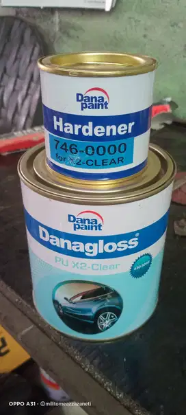 Jual secepatnya pernis dana paint