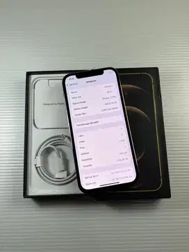Iphone 12 Pro 256 Gb