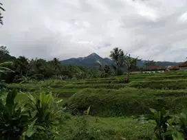 DIJUAL KEBUN VIEW GUNUNG, AIR BAGUS, UNTUK KOLAM IKAN DAN VILA