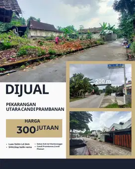 Tanah murah sangat nyaman dan asri manisrenggo