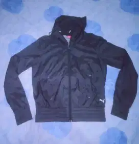 Jaket pumaa masih baru banget