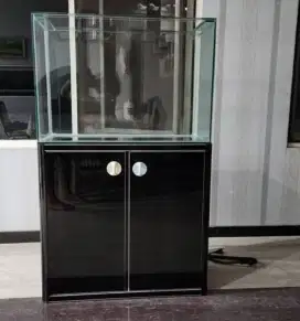 Aquarium ikan predator dan hias