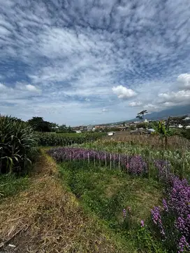 Tanah bumiaji nol jalan view istimewa