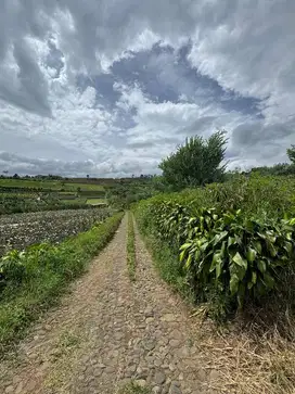 Tanah strategis super murah bulukerto