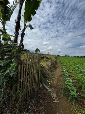 Tanah kebun akses truk 400 ribu nego batu