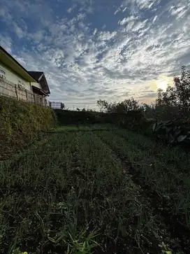 Tanah malang 100 jutaan siap bangun