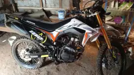 Honda CRF albino