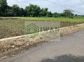 Tanah Murah & Strategis Dekat Jalan Raya Pengging-Sawit