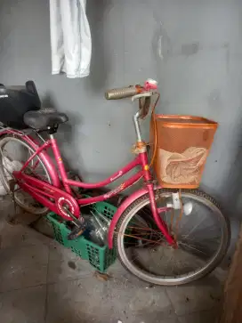 Sepeda dewasa  untuk anak sekolah