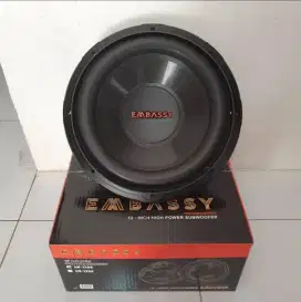 Subwoofer 12inch embassy em1289