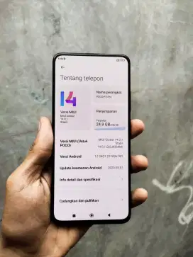 Poco F2 Pro 5G NFC Ram 8+3/256Gb Hp Flagship