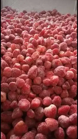 Dijual strawbery frozen 1 kg 25.000