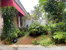 RUMAH CINERE DIJUAL DENGAN KETENANGAN DAN KENYAMANAN