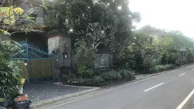 Rumah Meway Style Bali