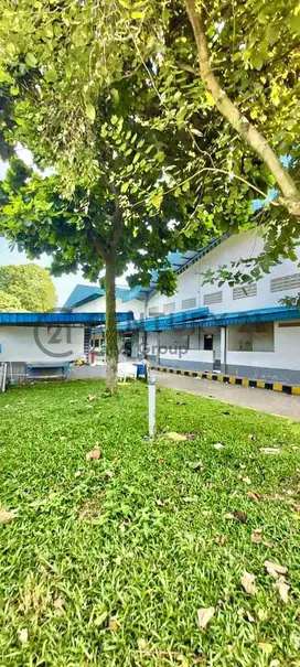 Dijual Murah Pabrik dan Gudang terdiri Kantor Mess Di Citeureup Bogor