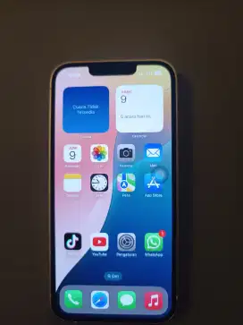 iPhone 13 pink 128gb ex INTER