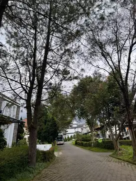 Jual VILLA MURAH di Vila Istana Bunga (VIB) CISARUA LEMBANG Bandung
