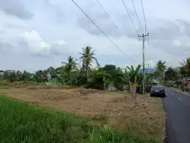Tanah Pinggir Jalan Sindangagung