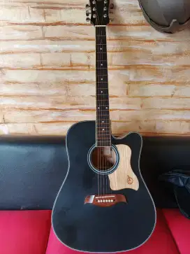 Gitar Akustik Madalika DT series